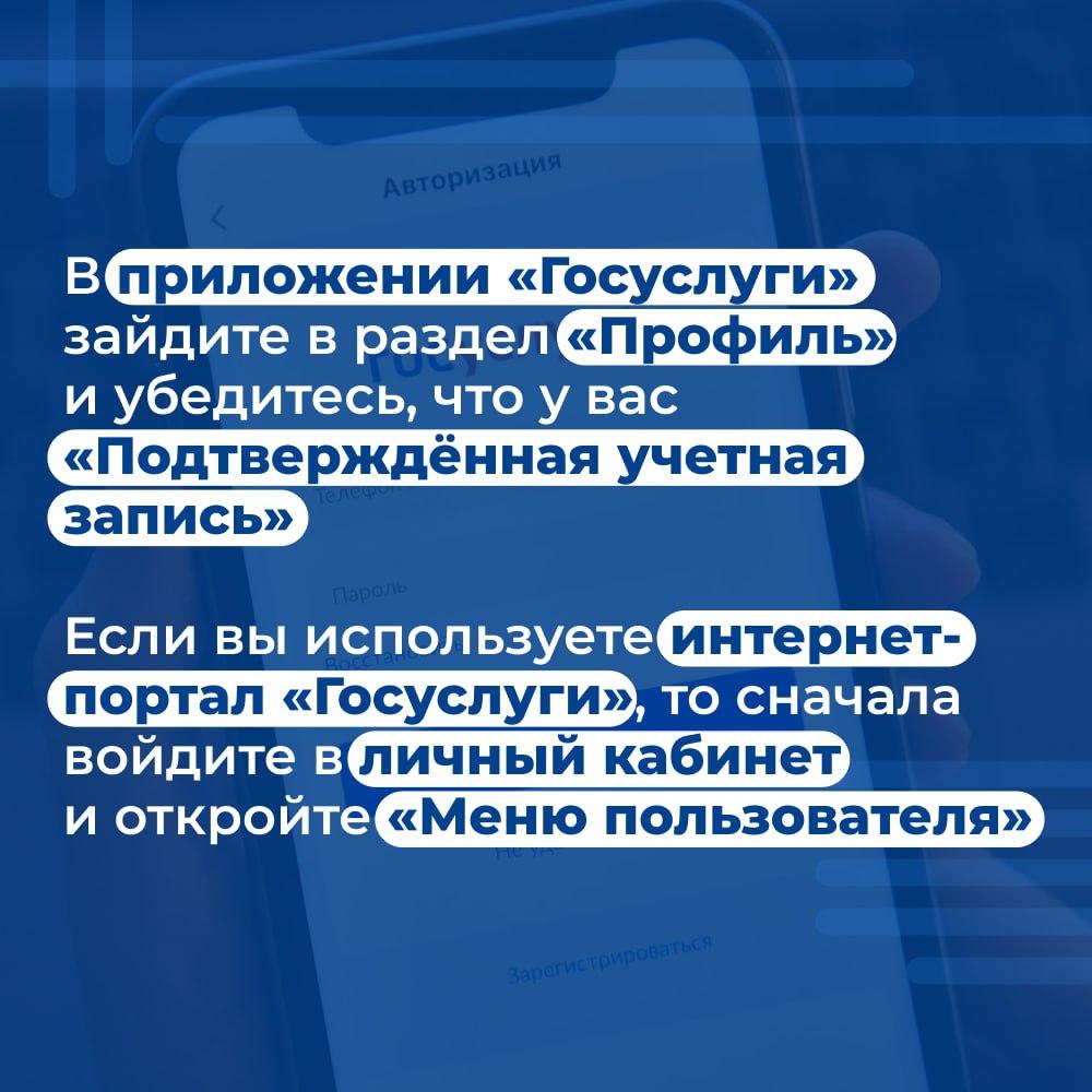 Для участия в ДЭГ нужно проверить свои данные на Госуслугах.