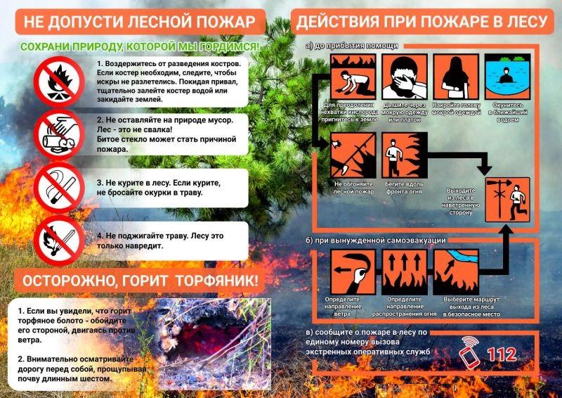 Информация для населения: &quot;Осторожно, лес!&quot;.